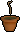 Banana sapling