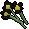 Black flowers